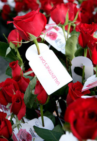 Exportacion de rosas y bouquets