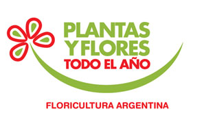 Campaña de marketing plantas y flores todo el año