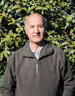 Domingo Distéfano (69), ingeniero agrónomo. Responsable de las áreas de Floricultura y Sustratos, del Consejo Federal de Inversiones.