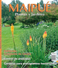 Revista Maipué - Plantas y Jardines