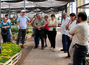 Productores y asesores técnicos de Corrientes visitaron cultivos de Moreno y de La Plata