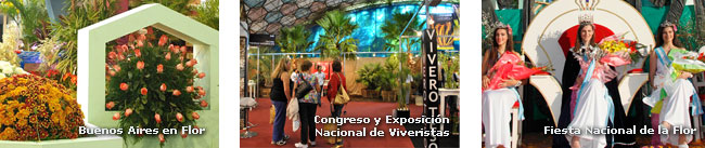 Exposiciones 2011