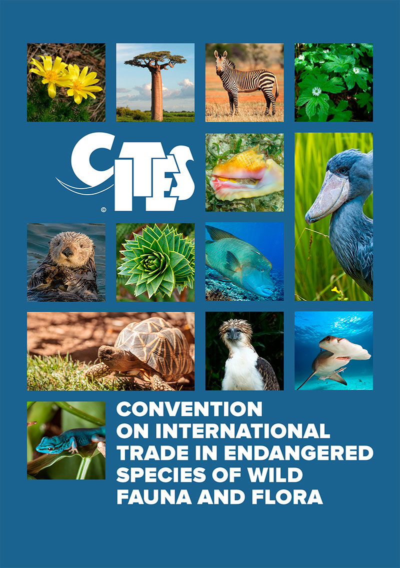 Introducción a la CITES Introducción a la CITES