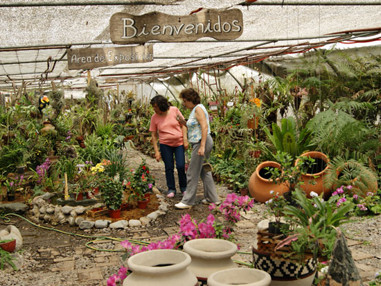 Fiesta de fin de año organizada por la Asociación Argentina de Floricultores y Viveristas, en Buenos Aires