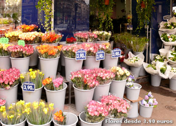 Flores desde 3.90 euros, en París