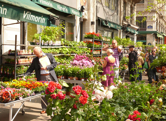 consumo de plantas y flores en París