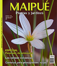 Revista Maipué - Plantas y Jardines