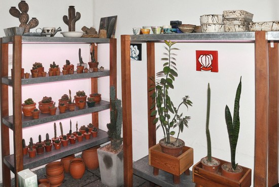 Carlos Alfonsín, uno de los socios de la tienda temática Tus Cactus, cuenta sobre este emprendimiento que se inició hace cuatro años y ya es una marca conocida dentro del mundo de los cactus y las suculentas. Plantas, remeras y mucho más.