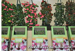 Flower Bags de Terrafertil