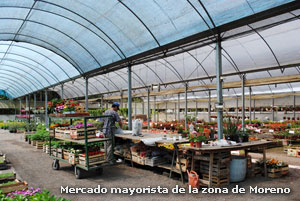 Mercado mayorista de la zona de Moreno