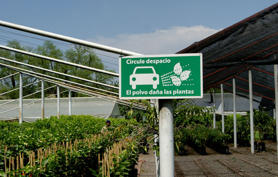 Vivero - Calidad de las plantas - Tucumán