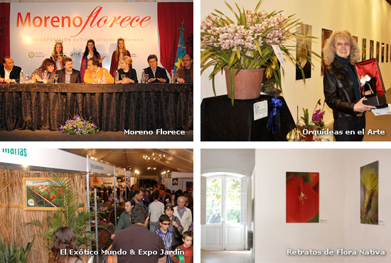 Moreno Florece - Orquídeas en el Arte - El Exótico Mundo & Expo Jardín - Retratos de Flora Nativa