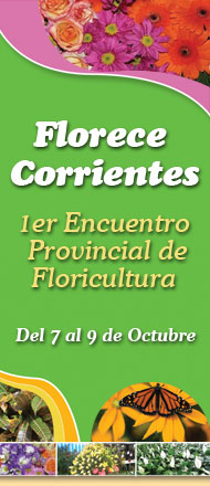 Florece Corrientes
