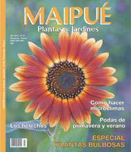 Revista Maipué - Plantas y Jardines