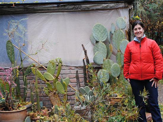 Plantas florales desperdiciadas en Buenos Aires