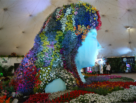 Plantas florales desperdiciadas en Buenos Aires