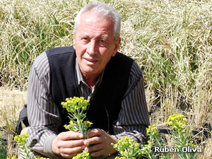 Rubén Oliva: “El sector de la floricultura y el viverismo es muy diverso y complejo”