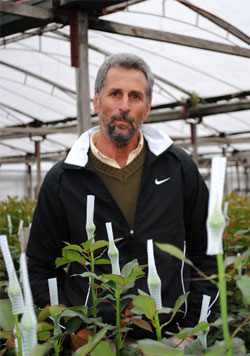 Eduardo Casella, Ingeniero Agrónomo