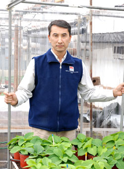 Una entrevista al Coordinador del Grupo de Manejo de Cultivos Ornamentales del Instituto de Floricultura (INTA), y Director de la única Maestría en Floricultura de la Argentina.