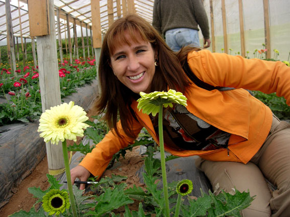 Bulbos, y plantas