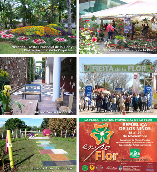 Fiestas & Exposiciones: Córdoba: Semana de la Flor, Santa Fe: Fiesta Provincial de la Flor, Misiones: Fiesta Provincial de la Flor y Fiesta Nacional de la Orquídea, Buenos Aires: Estilo Pilar y Casa FOA.