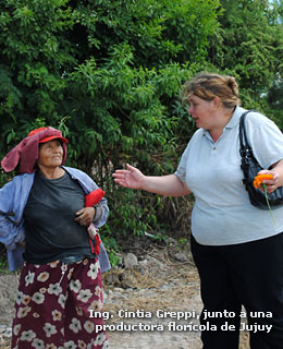 Ing. Cintia Greppi - Jujuy, fondos para Programa de Fortalecimiento Florícola